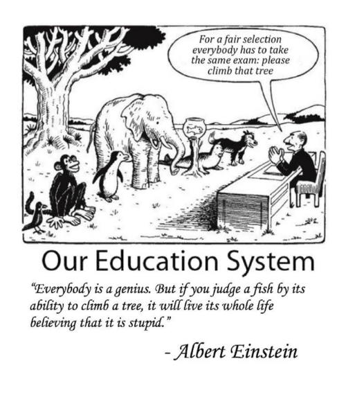 Quote about inequalities in our education system